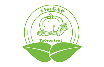 Tiêu chuẩn VietGap trong trồng trọt